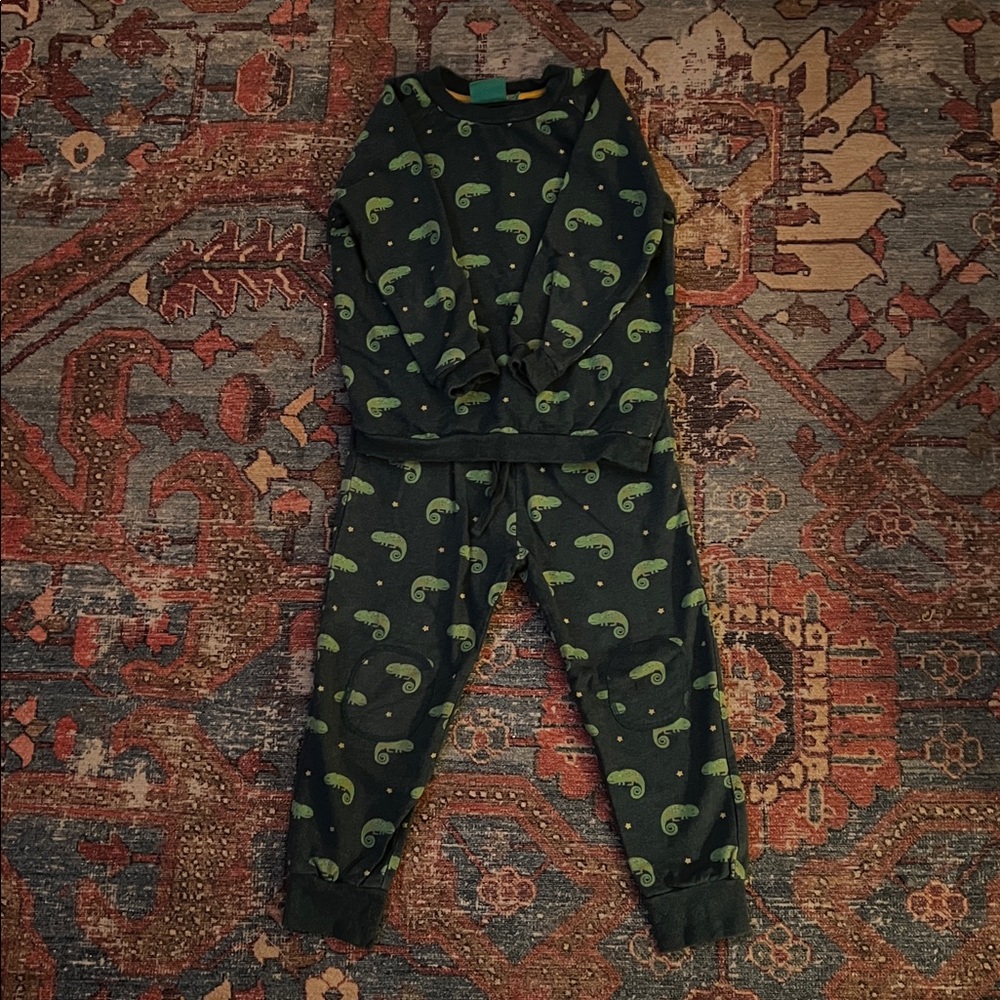 Lizard Sweatshirt Set